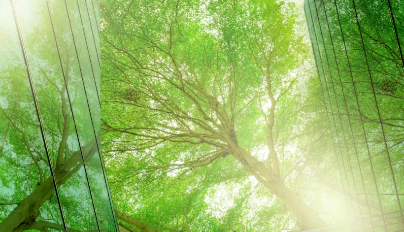 지속가능 경영 ( ESG & Sustainability)